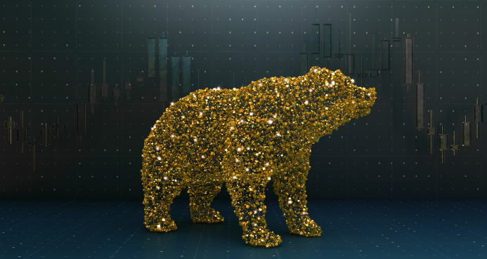 Cum te pregătești pentru Bear Market?