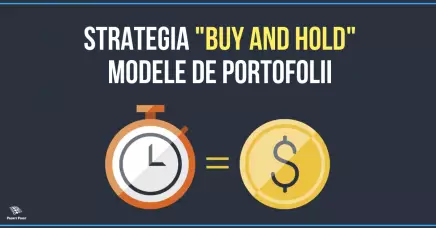 Strategia "Buy and Hold". Modele de portofolii